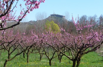 Le rocher de Sampzon